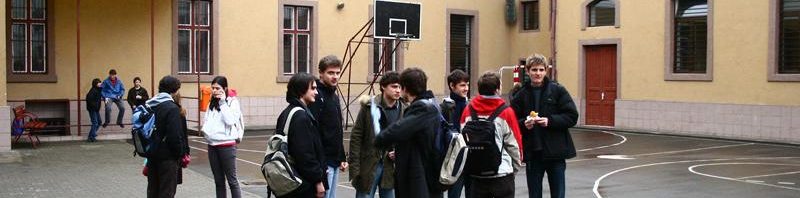 colegiu racovita