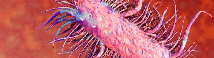 ecoli-bacteria