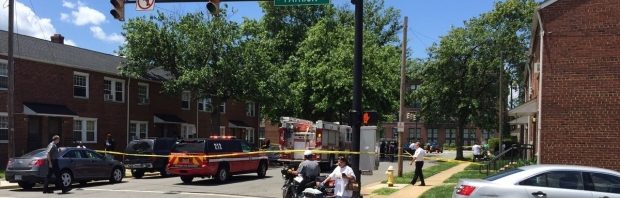 impuscaturi virginia