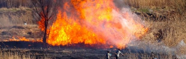 incendiu delta vacaresti