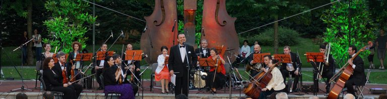 concert coltea