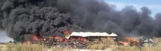 incendiu constanta