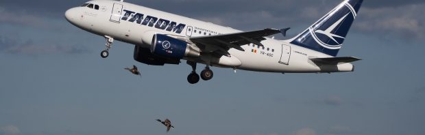 tarom