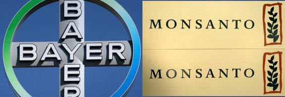bayer monsanto