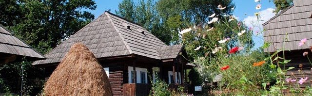 carstovul viilor