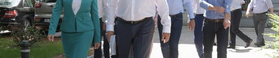 firea dragnea