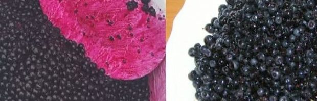 fructe-toxice-afine