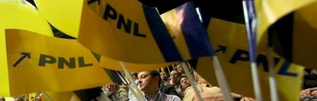 miting-pnl