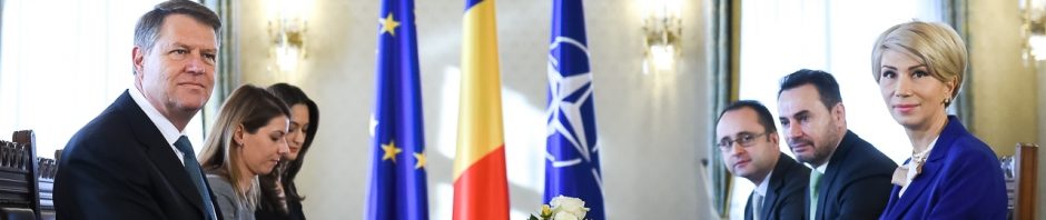 consultari iohannis PNL