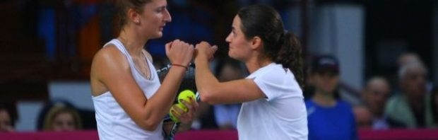 begu niculescu