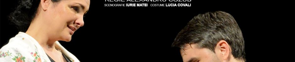 casa mare ion druta