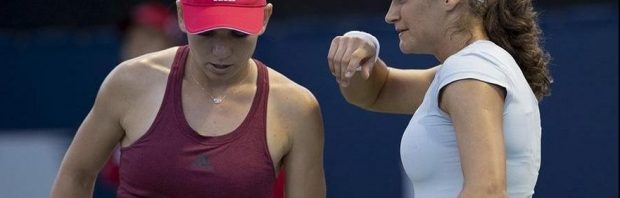 halep niculescu