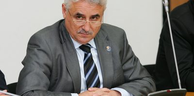 viorel stefan