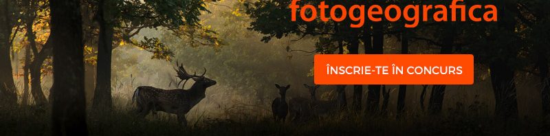 fotogeografica