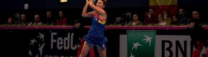 irina begu