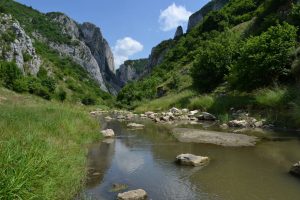 cheile turzii 2