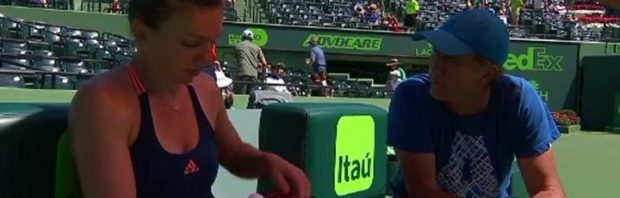 halep cahill