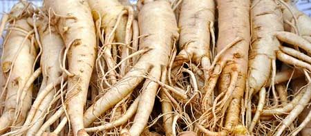 radacina ginseng