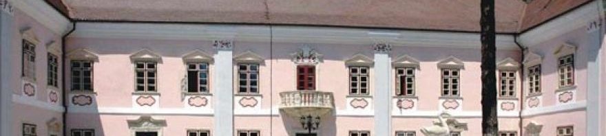 muzeul civilizatiei dacice deva