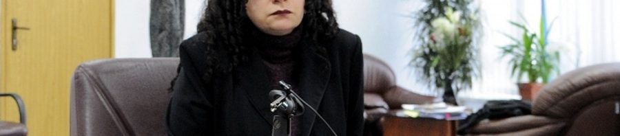 oana schmidt haineala