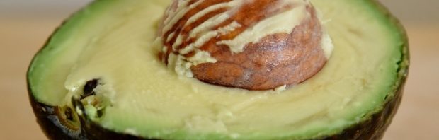 avocado