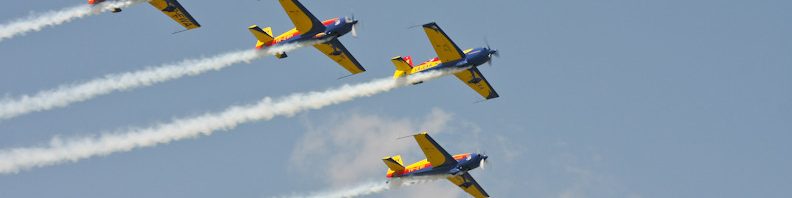 iacarii acrobati 2