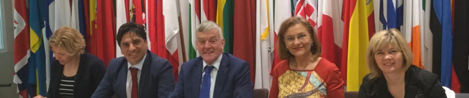 maria grapini
