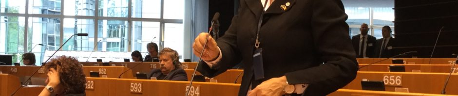maria grapini