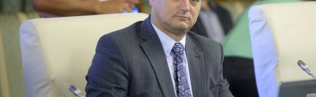 mirel palada