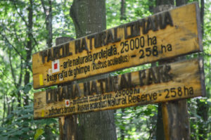 parcul natural comana 2