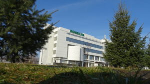 romsilva