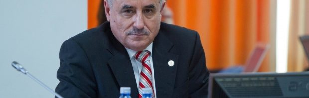 viorel stefan
