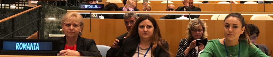 adriana petcu conferinta ONU