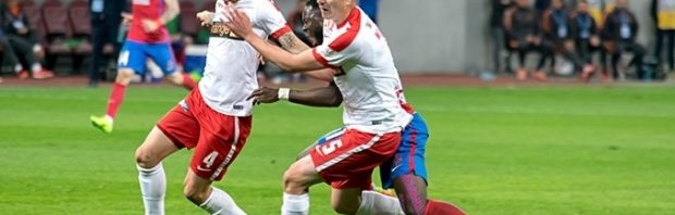 dinamo