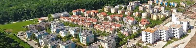 greenfield baneasa