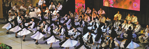 junii sibiului 2