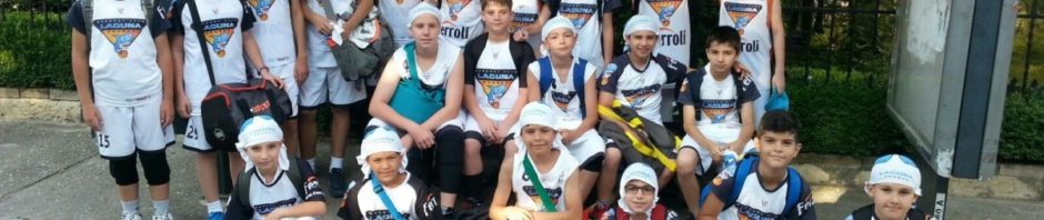 liga minibaschet