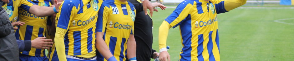 mihalcea 2
