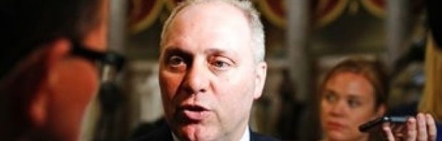 steve scalise