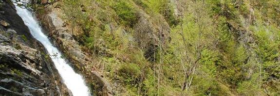 cascada lotrisorului