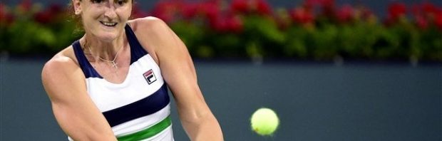 irina begu
