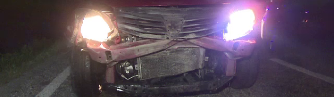 porci mistreti ucisi