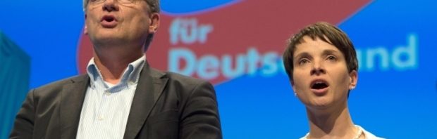 alternativa pentru germania