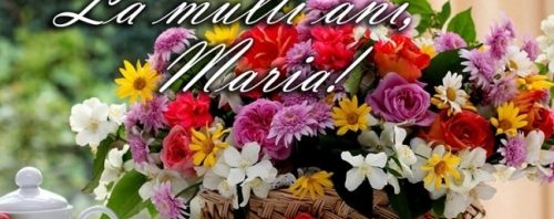 mesaje sfanta maria