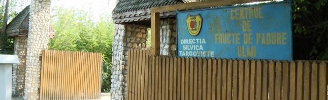 centru fructe ulmi 2