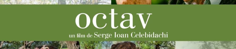 film octav