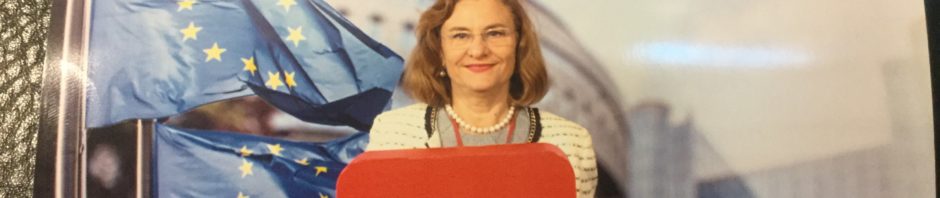 maria grapini