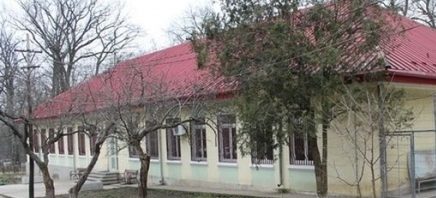 spital psihiatrie grajduri