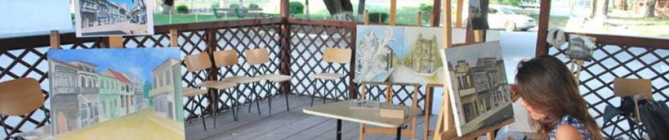 tabara pictura delta