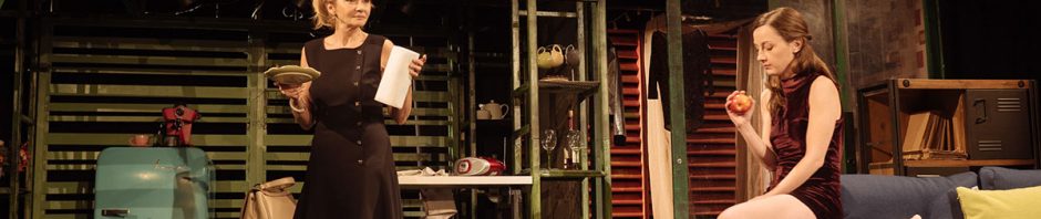 fluturii sunt liberi